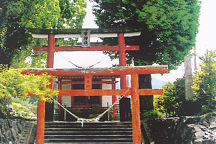 渋谷一族、薩摩に入国