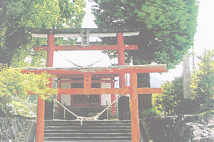 渋谷一族、薩摩に入国