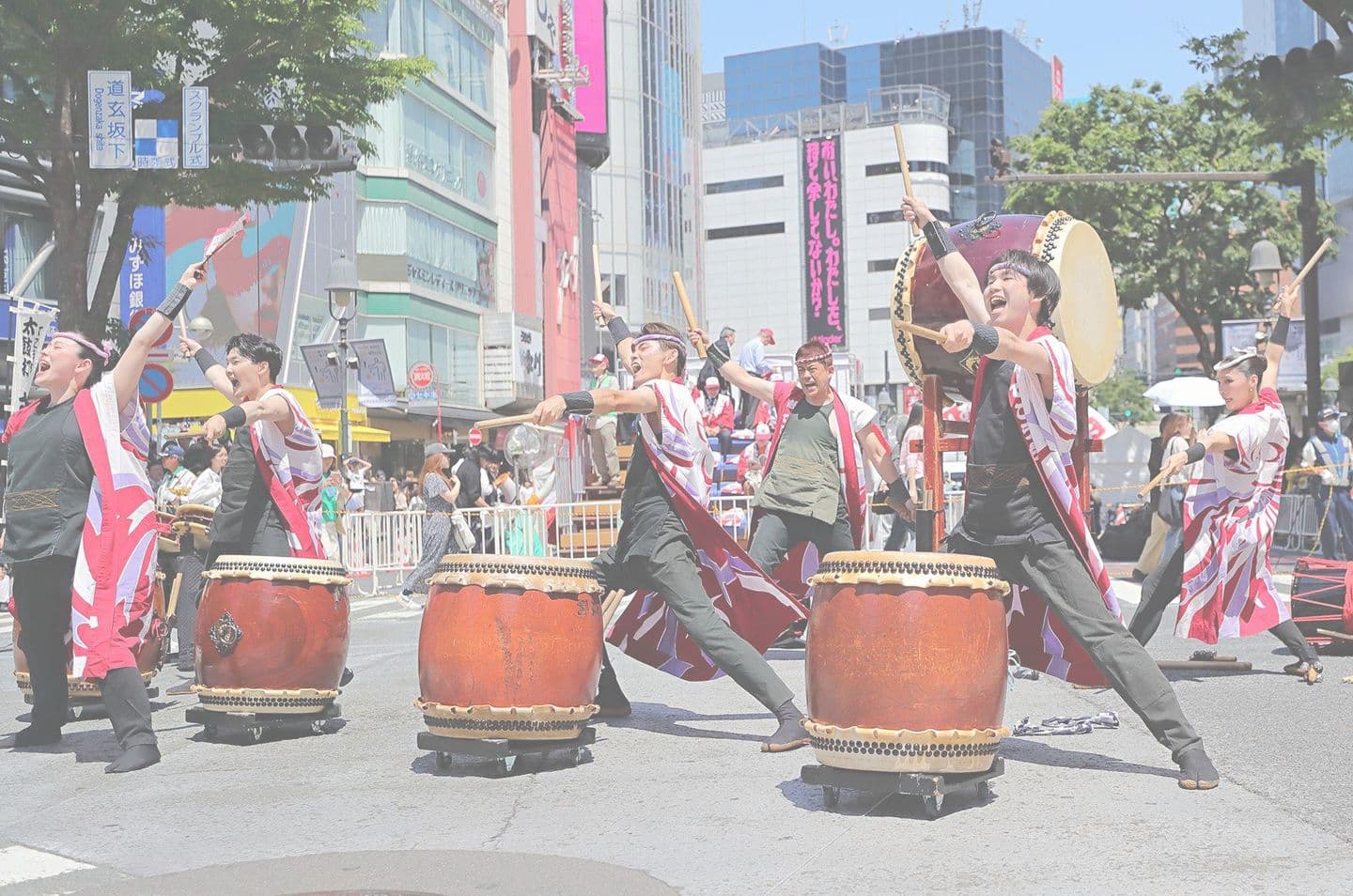 ギャラリー写真画像